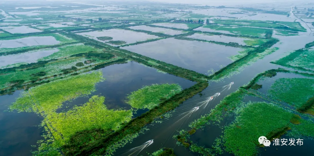 第21届中国·金湖荷花节盛情开幕