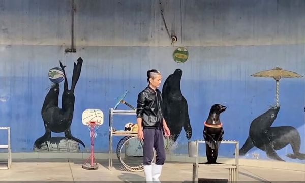 王家营街道组织托育班亲子秋游动物园