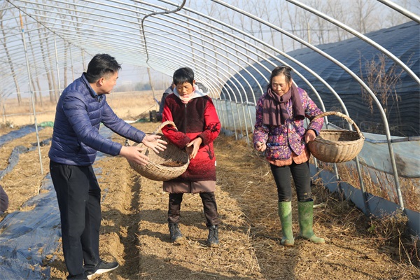 老营“蔡团长”在老区黄花塘闯出一片新天地