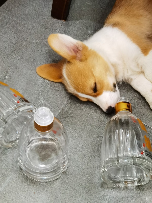 散文|思念如流无歇时