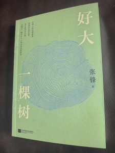 �Ԥ��ح���鲻���Ѵ����������������������